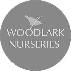 Locally grown, Quality plants and compost delivered safely to your door