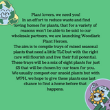 Plant Hero Tray