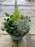 Bell Pot Design Seasonal Planted Patio Pot
