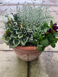 Fleur De Lys Design Seasonal planted Patio Pot