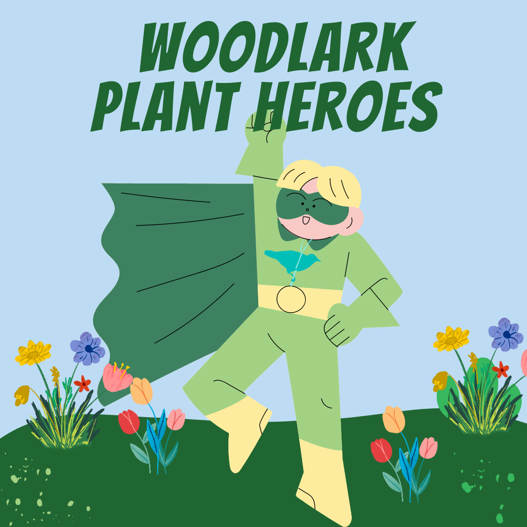 Plant Heroes