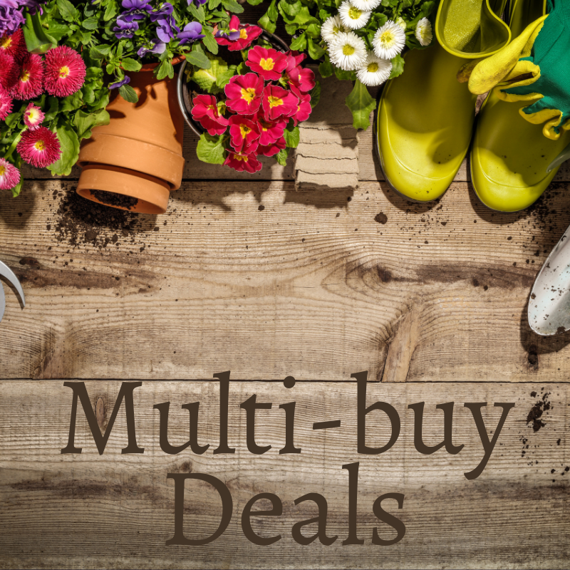 Multi-Buy Deals