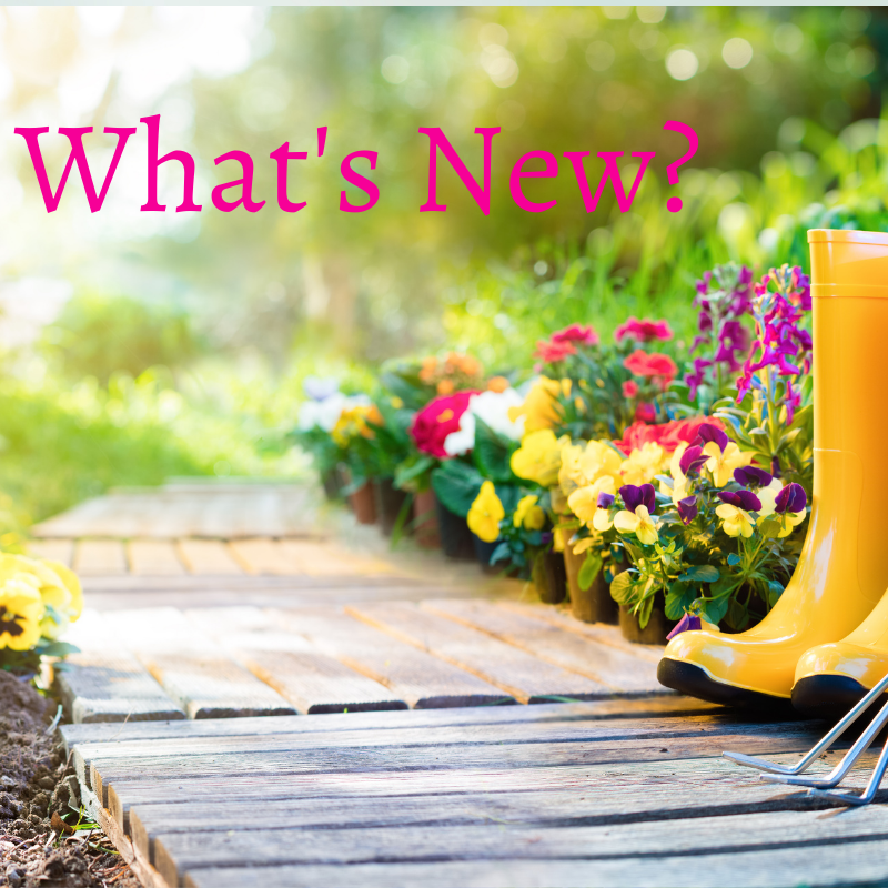 What's New on the Nursery
