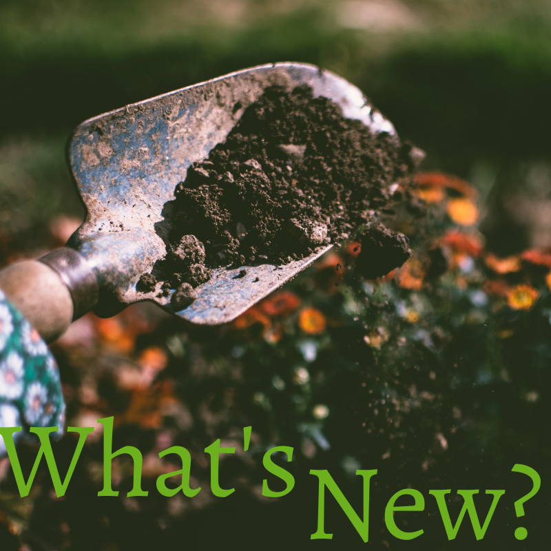 What's New?
