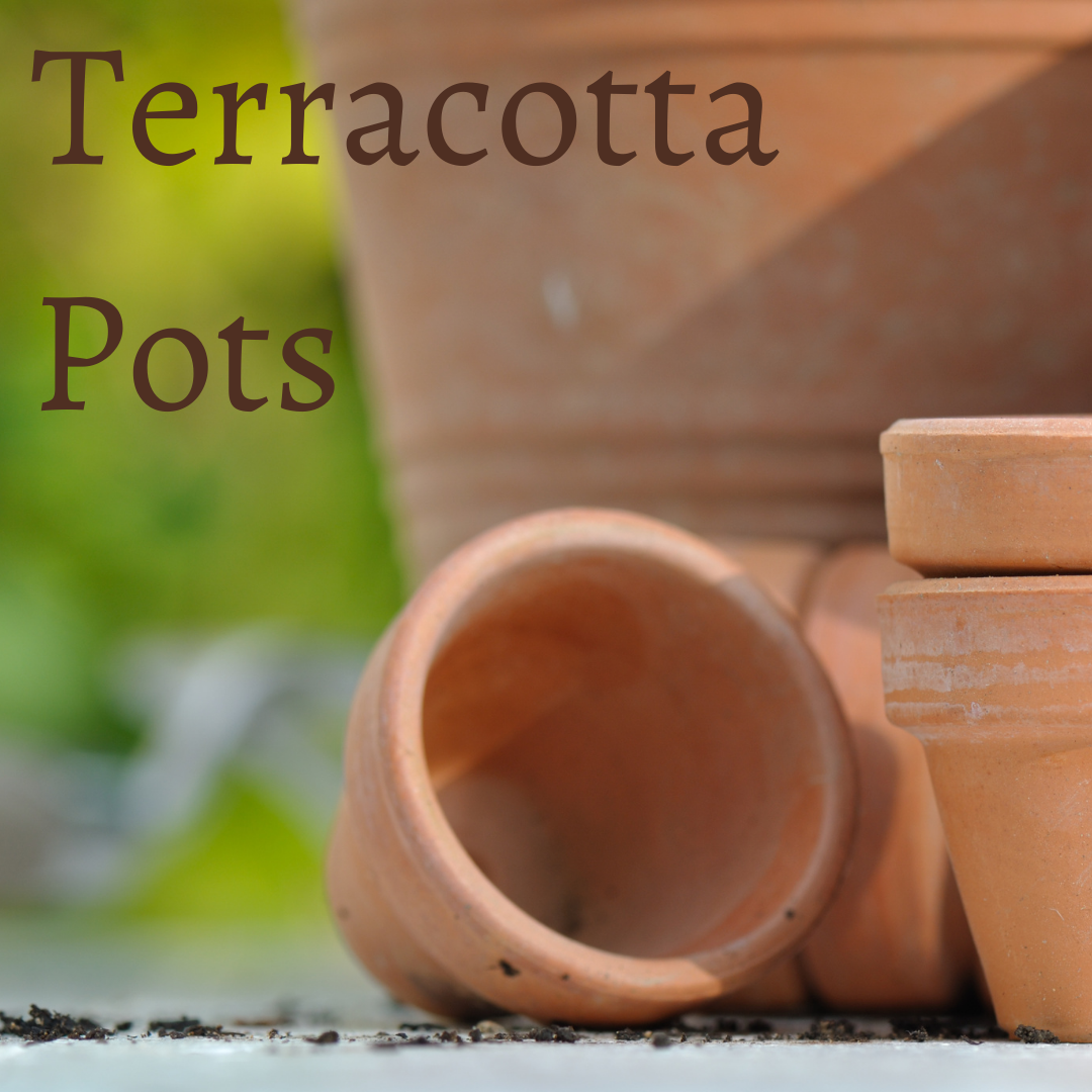 Terracotta Pots