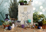 Advent Calendar for Plant Enthusiasts (Christmas)