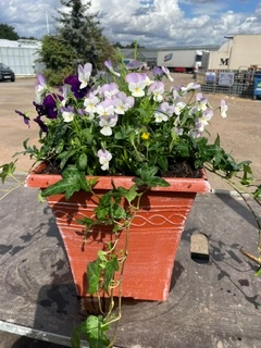 Tall Square Seasonal planted Patio Pot