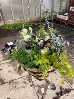 25cm Seasonal Planted Gelato Cone Patio Hanging Basket