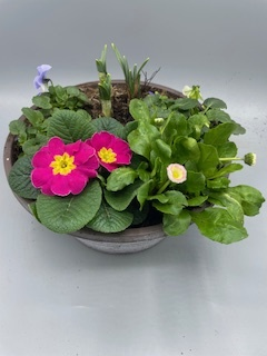 Striation Bowl Seasonal planted Patio Pot