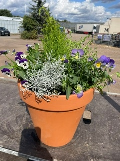 Terracotta Planted Patio Planter
