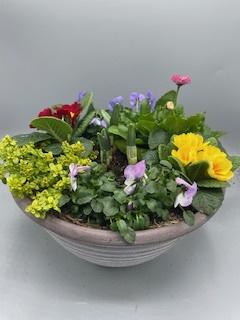 Striation Bowl Seasonal planted Patio Pot