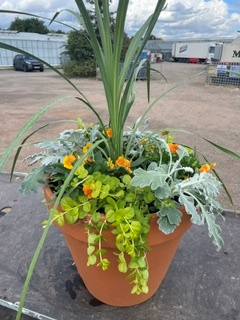 Terracotta Planted Patio Planter