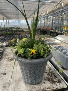 46cm Mod Flora Seasonal planted Patio Pot