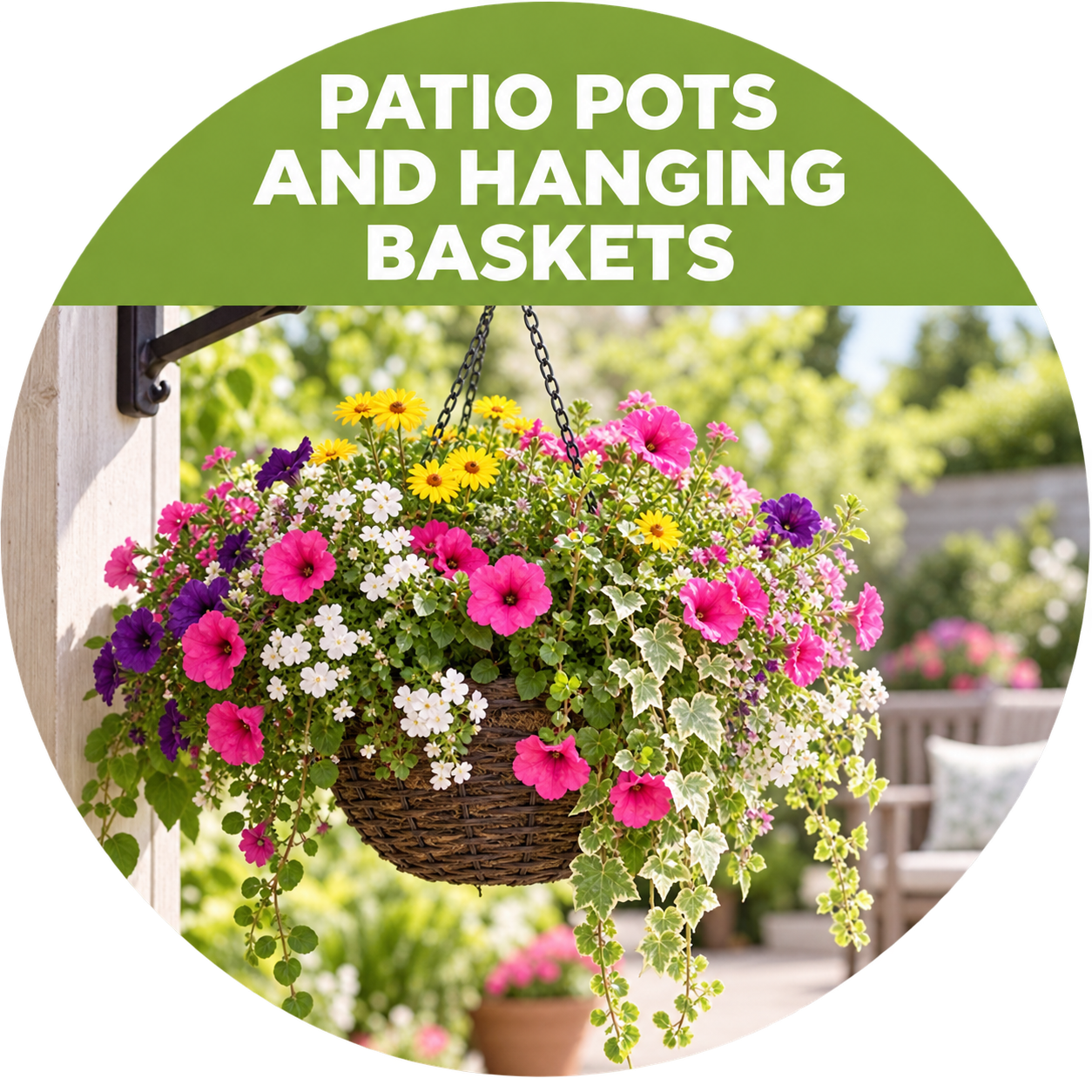 Seasonally Planted Patio Containers