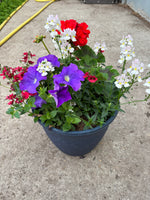 *Deal of the Week* 2 x Summer Patio Planters