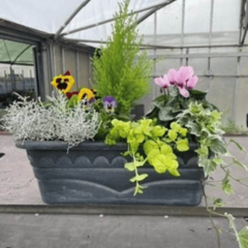 Seasonal Patio Trough