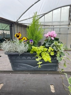 Seasonal Patio Trough
