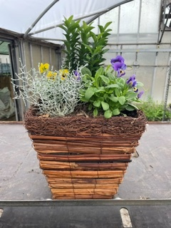Woodland Square Planted Patio Container
