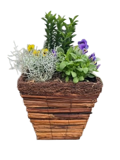 Woodland Square Planted Patio Container