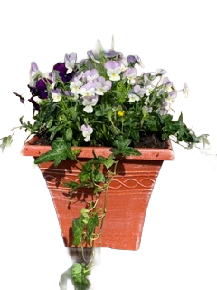 Tall Square Seasonal planted Patio Pot