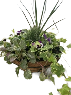 16" Seasonal Planted Extra Large Wire basket Patio Hanging Basket