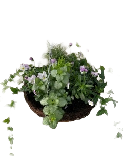 12" Seasonal Planted Rattan Round Patio Hanging Basket