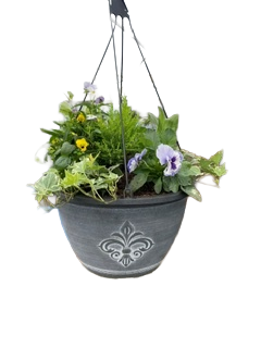 Fleur De Lys Seasonal planted Patio Hanging Pot
