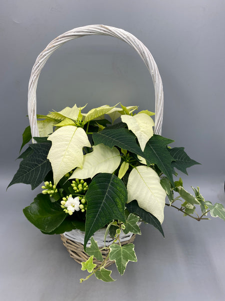 Two Tone Christmas Basket with Handle *Woodlarks delivery only*