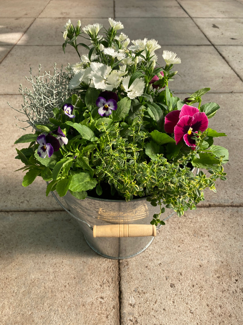 28cm Large Zinc Patio Pot with Seasonal Planting