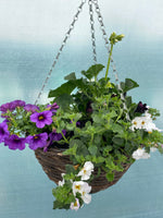12" Seasonal Planted Rattan Round Hanging Basket
