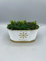 14cm Zinc Trough with x3 Hyacinth (Christmas)