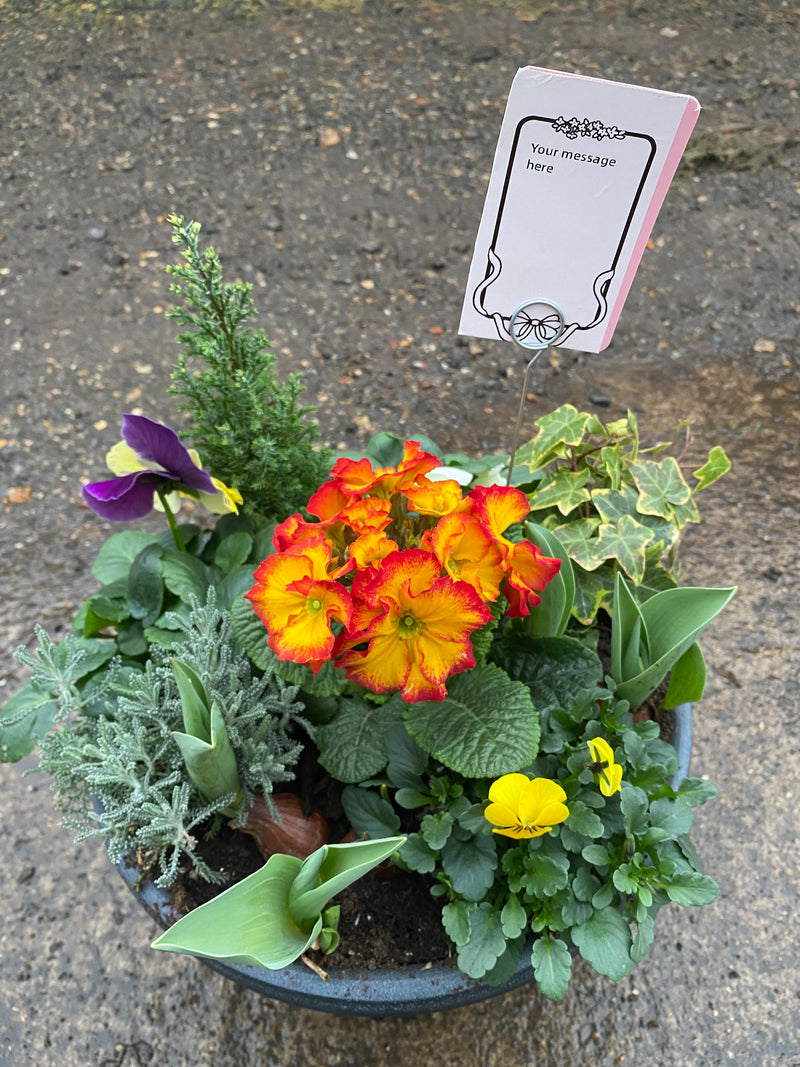 Gift Message