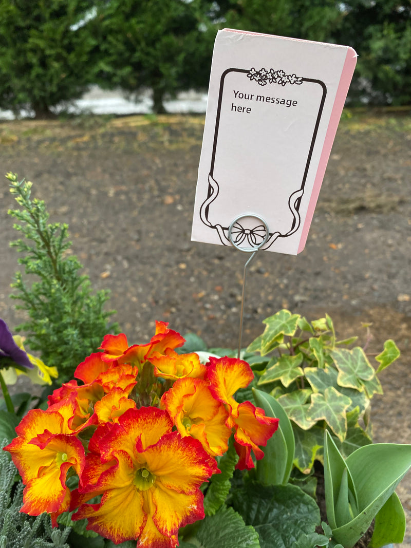 Gift Message