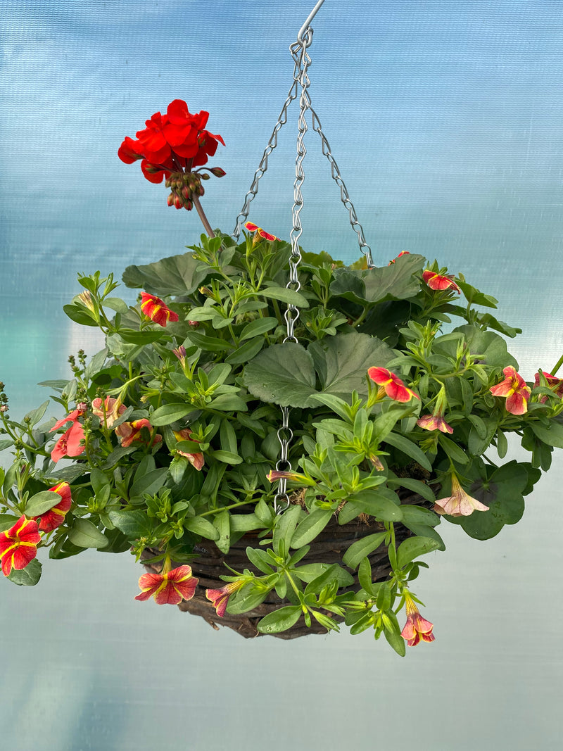12" Seasonal Planted Rattan Round Hanging Basket