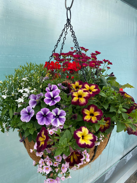 Premium Seasonal Hanging Basket *LOCAL DELIVERY ONLY*