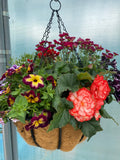 Premium Seasonal Hanging Basket *LOCAL DELIVERY ONLY*