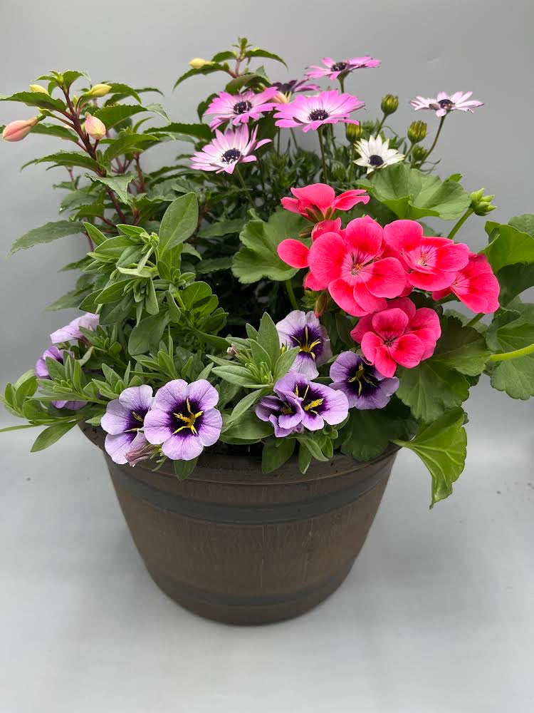 25cm Barrel Effect Patio Seasonal Planter