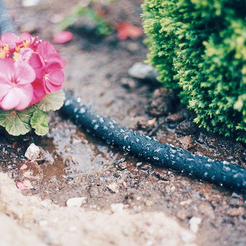 Easy Watering Leaky Hose with Hose Connector (Hedging)