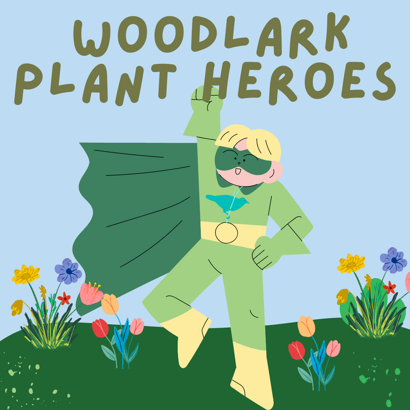 Plant Hero Tray