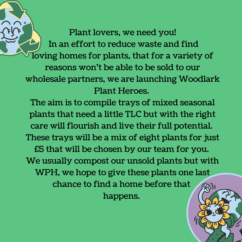 Plant Hero Tray