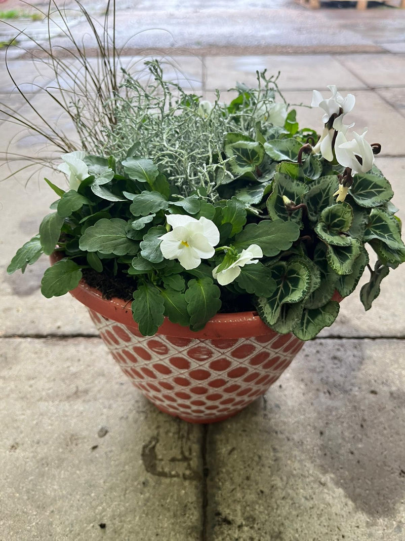 Bell Pot Design Seasonal Planted Patio Pot