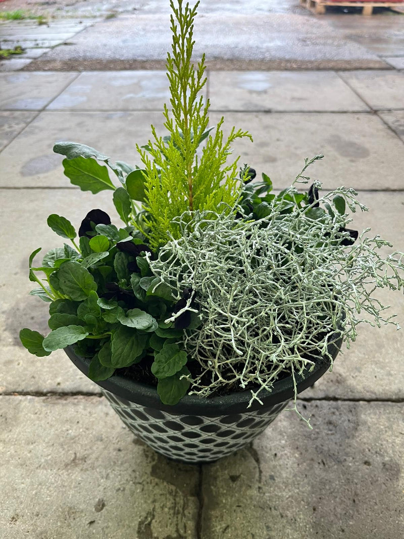 Bell Pot Design Seasonal Planted Patio Pot
