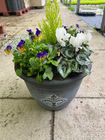Fleur De Lys Design Seasonal planted Patio Pot