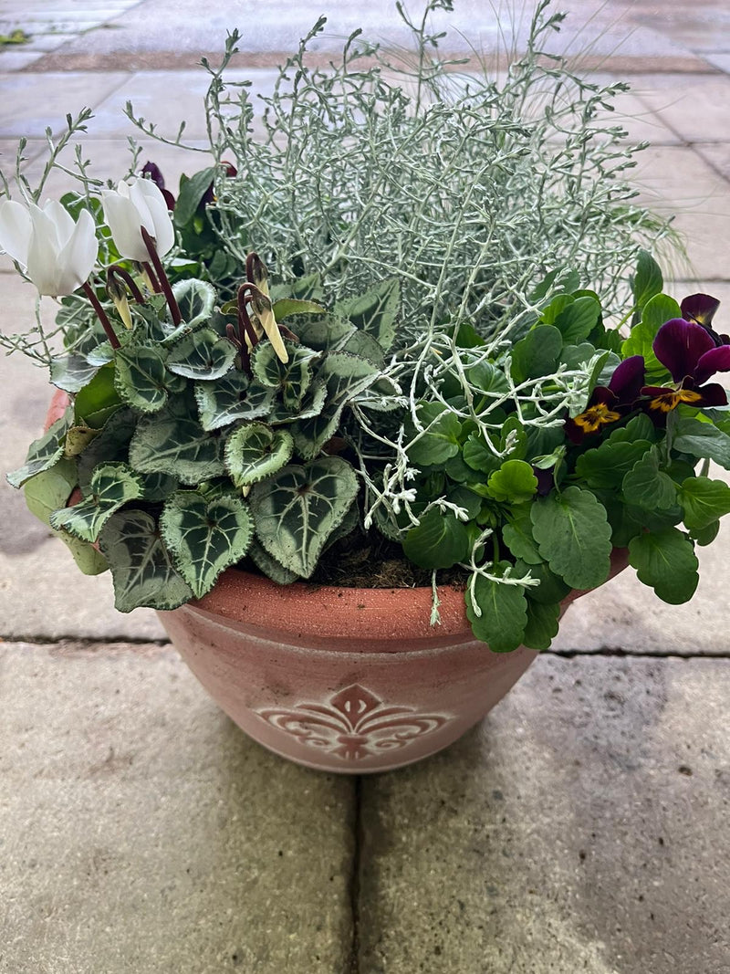 Fleur De Lys Design Seasonal planted Patio Pot
